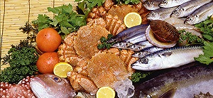 魚の中でも青魚は特に栄養豊富!